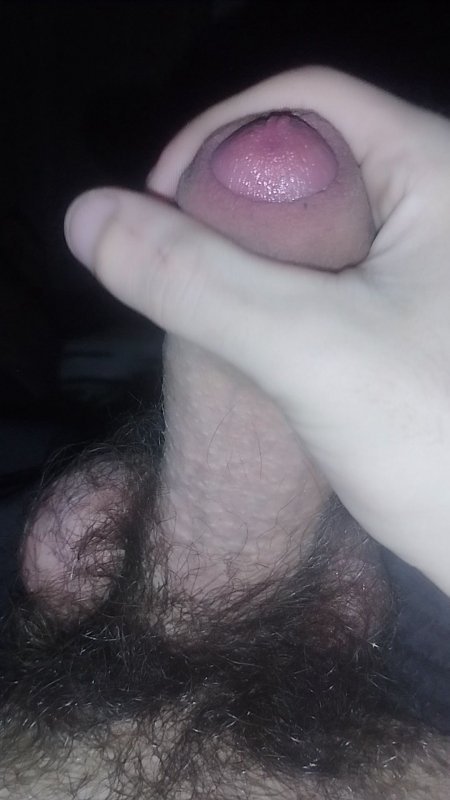 Дрочу толстый волосатый член