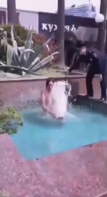 Женщине весь кайф обломали волки позорные